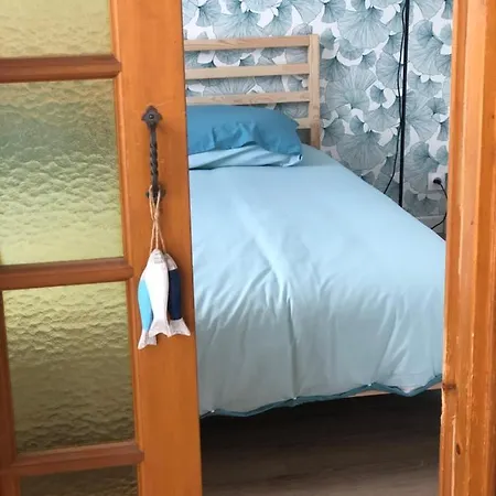 Bleu Sale - F2 Avec Balcon Daire