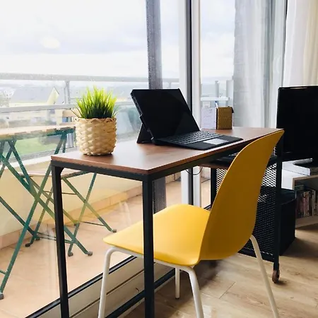 Bleu Sale - F2 Avec Balcon *