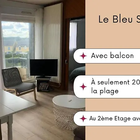 Bleu Sale - F2 Avec Balcon *