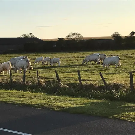 Bleu Sale - F2 Avec Balcon 아파트 쿠르쇨 쉬르 메르