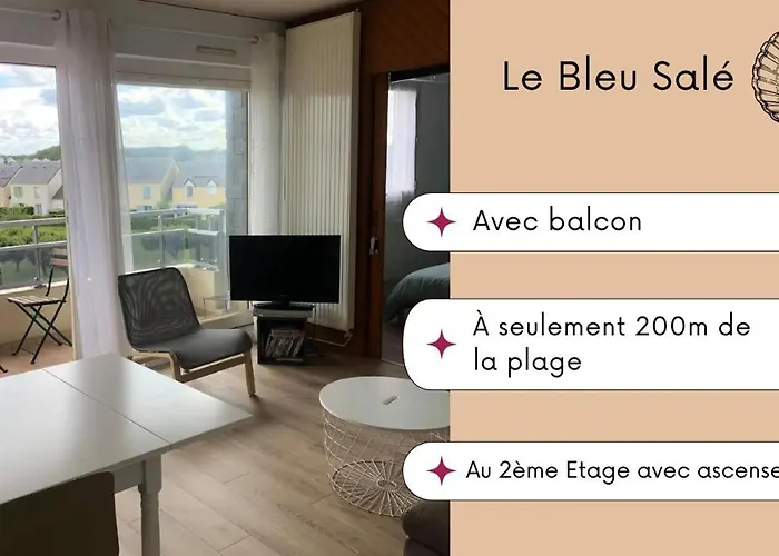 Bleu Salé - F2 Avec Balcon *