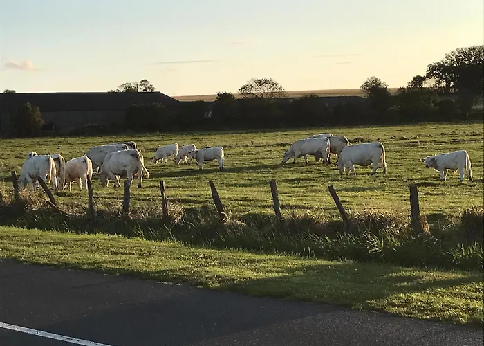 Bleu Sale - F2 Avec Balcon 아파트 쿠르쇨 쉬르 메르